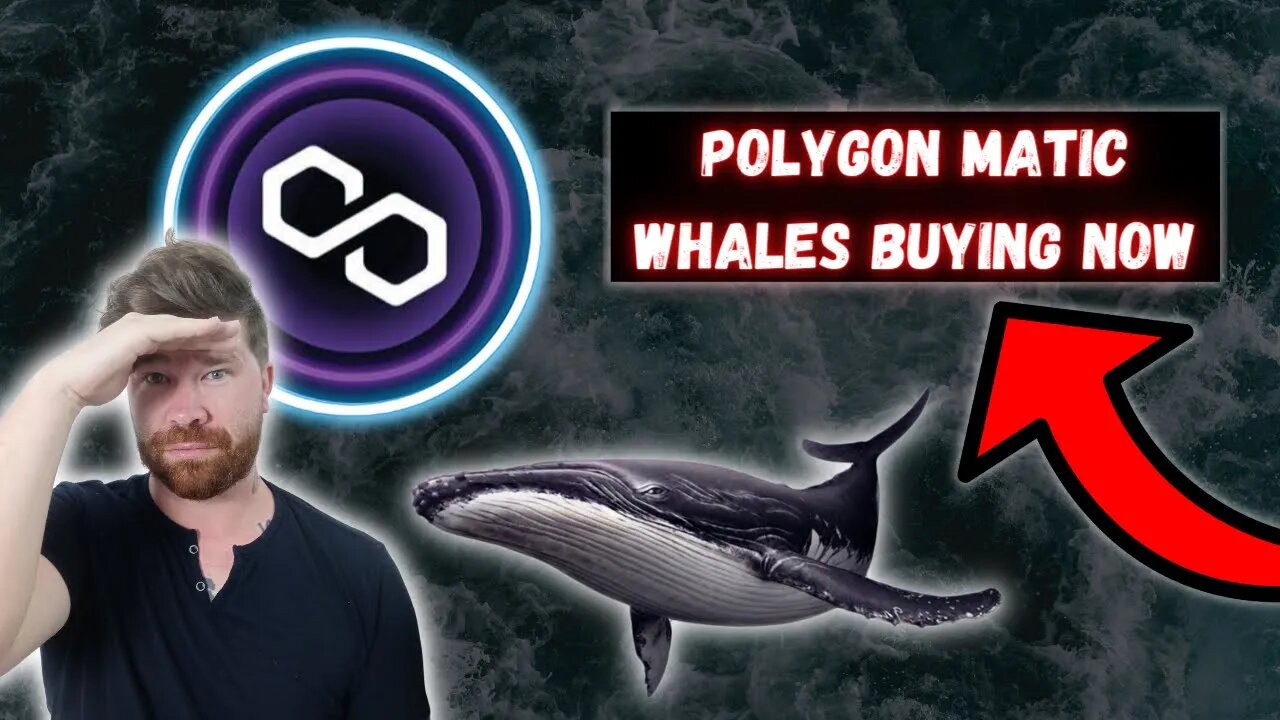 Polygon Matic $12,000,000 Whale Transaction! Big Bullish Signals!