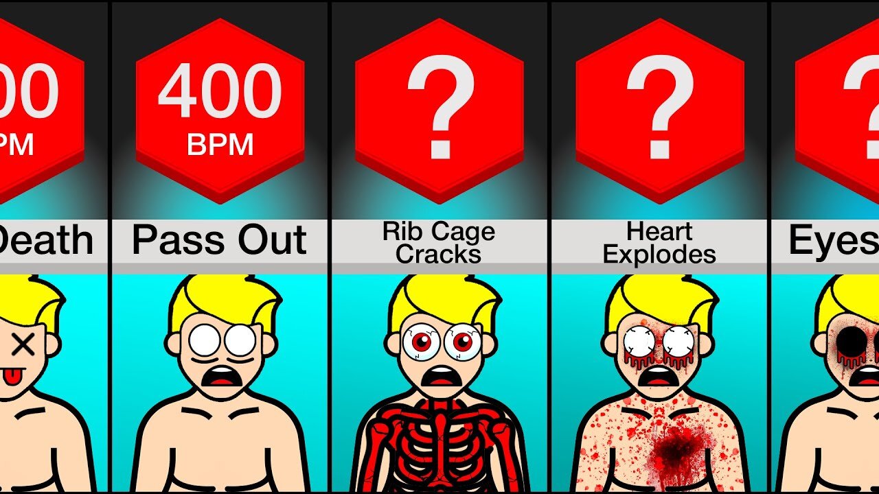 Comparison: Your Body At Different Heart Rates