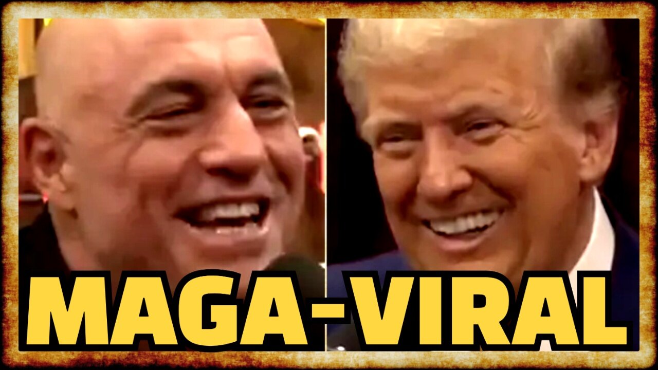 Joe Rogan and Donald Trump BREAK THE INTERNET With VIRAL Interview