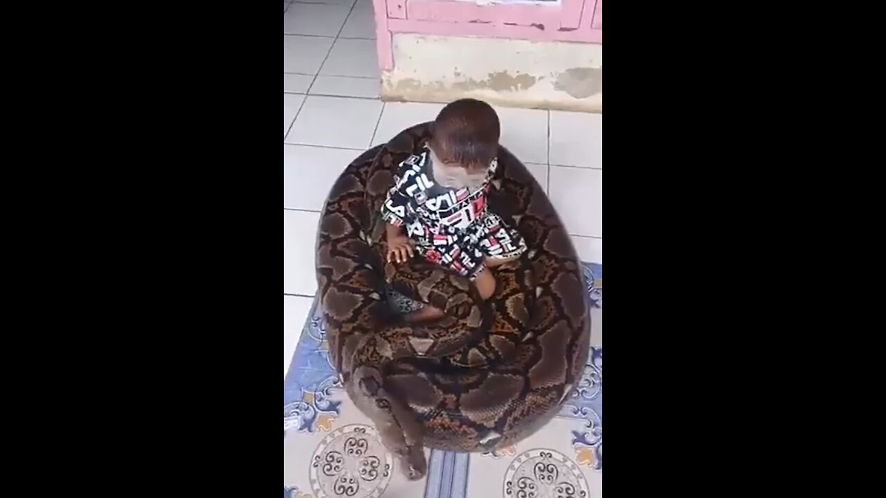 friendship with giant python