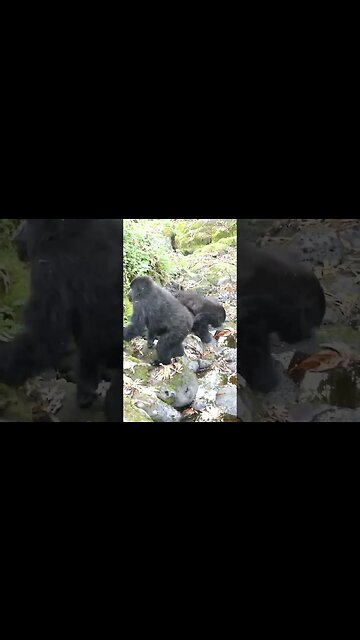 Admire the reflection 🥰