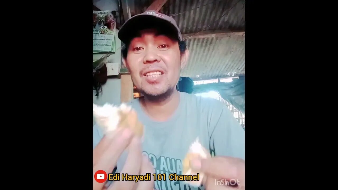 Ngopi Lagi Pagi Ini, Sama Roti