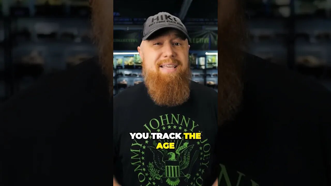 Quick Tip for Tarantula Keeper's!