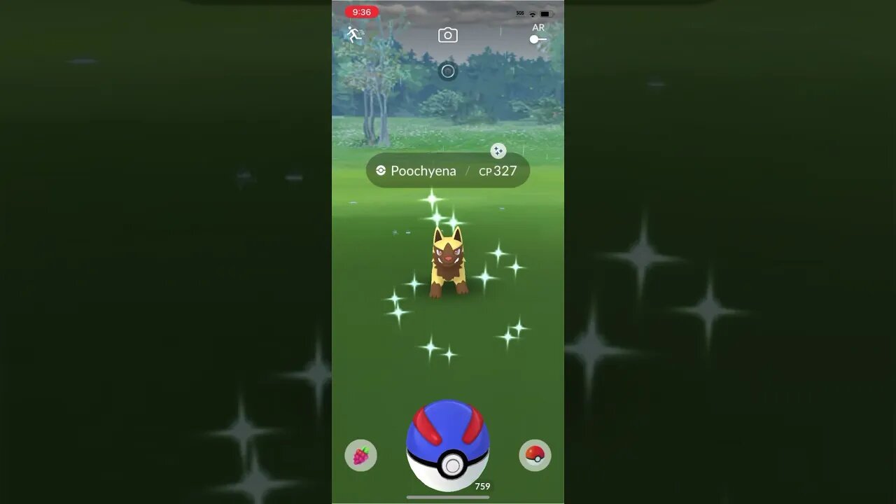 Shiny Compilation