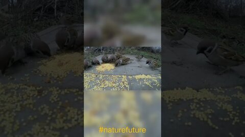 video 20220107 123427 edit