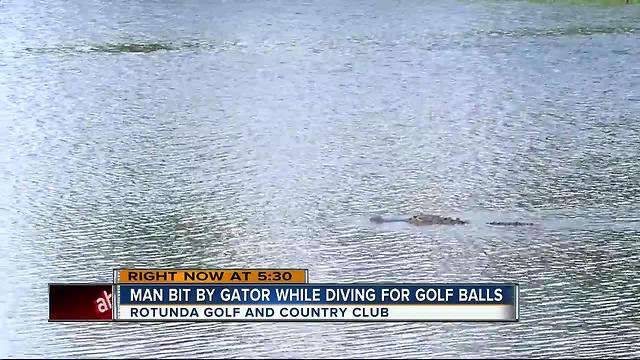 Man attacked by gator at Fla. golf course