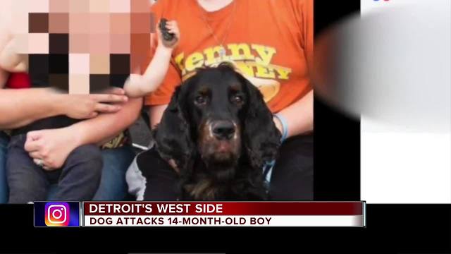 Dog attacks 14-month-old in Detroit home