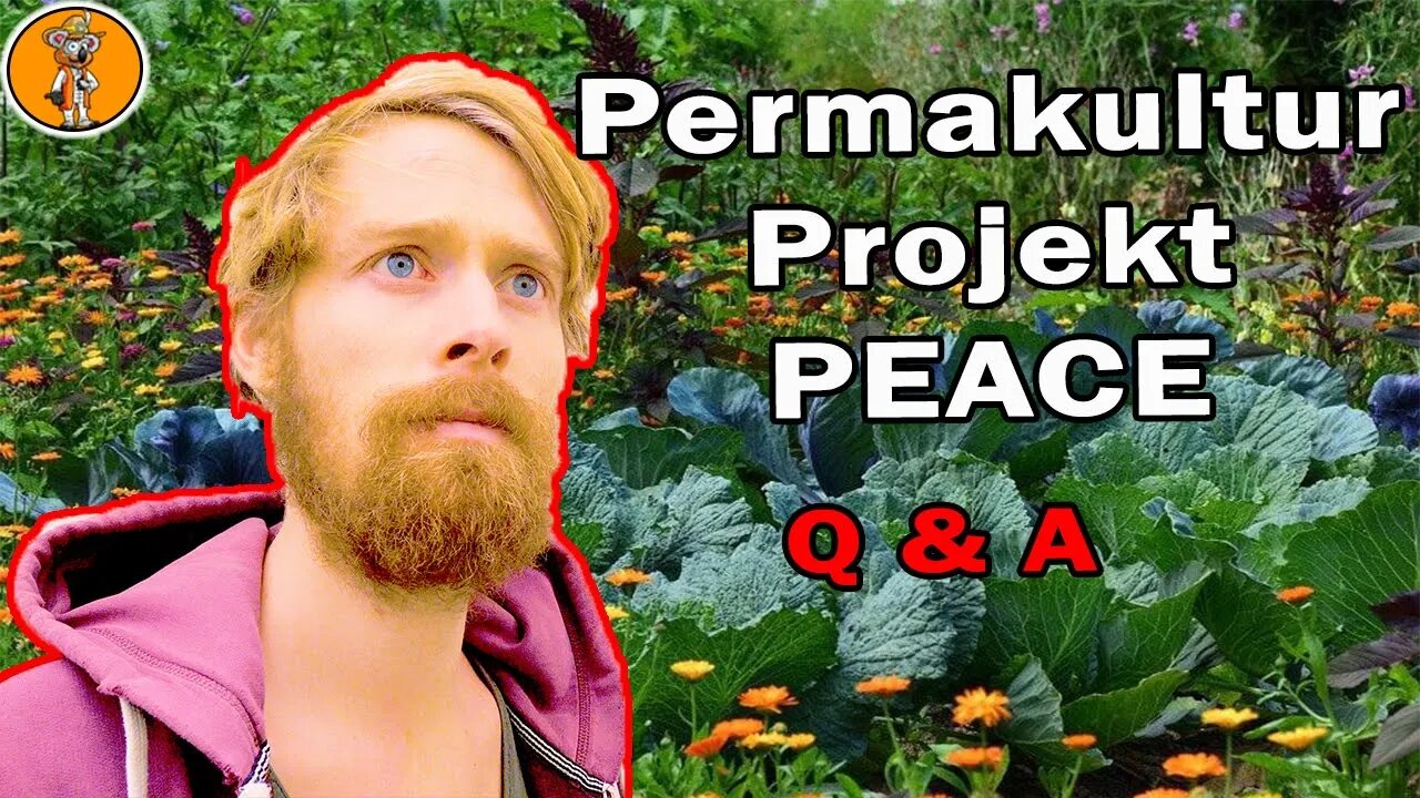 Wie läuft es im Permakulturprojekt? - Q & A