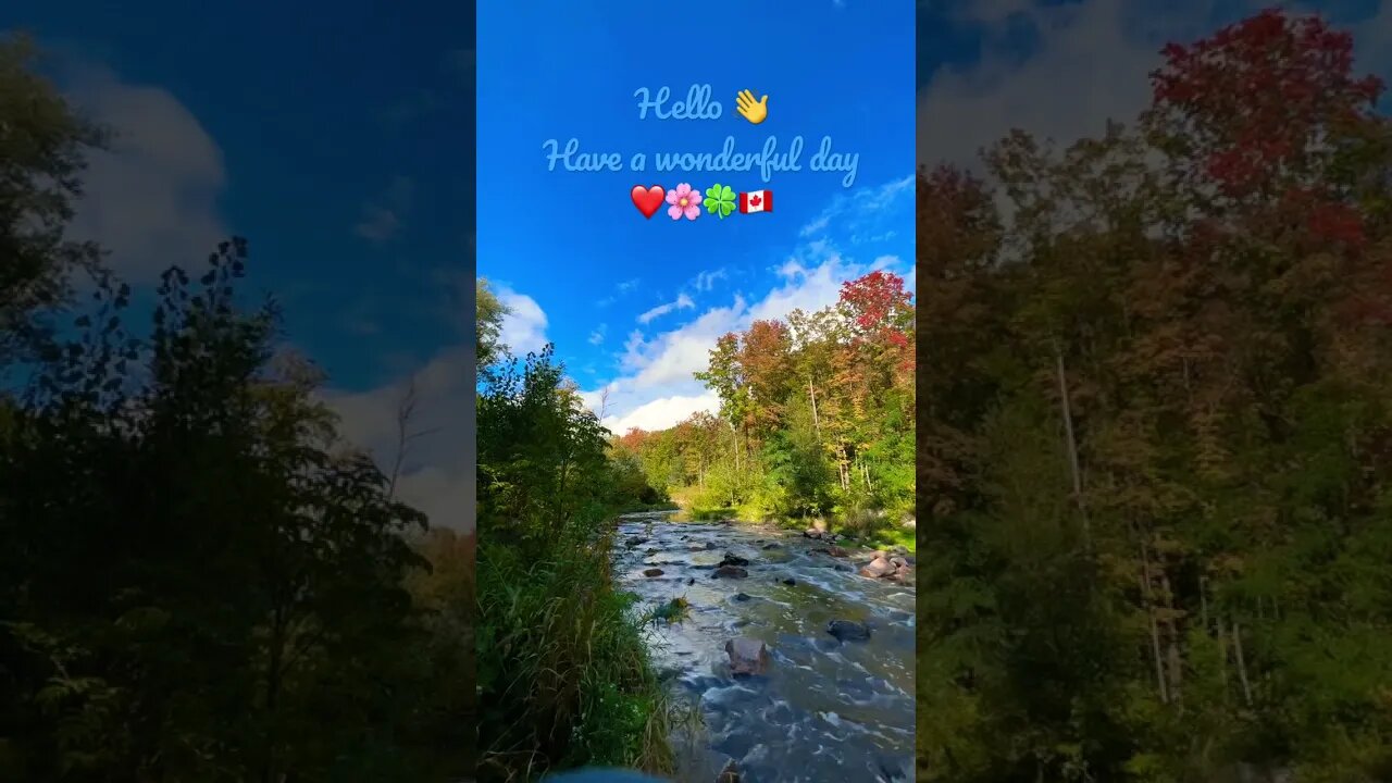 Sound of Nature | Sound of Wilket Creek | Signs of Fall | Wilket Creek Trail | Toronto, ON Canada