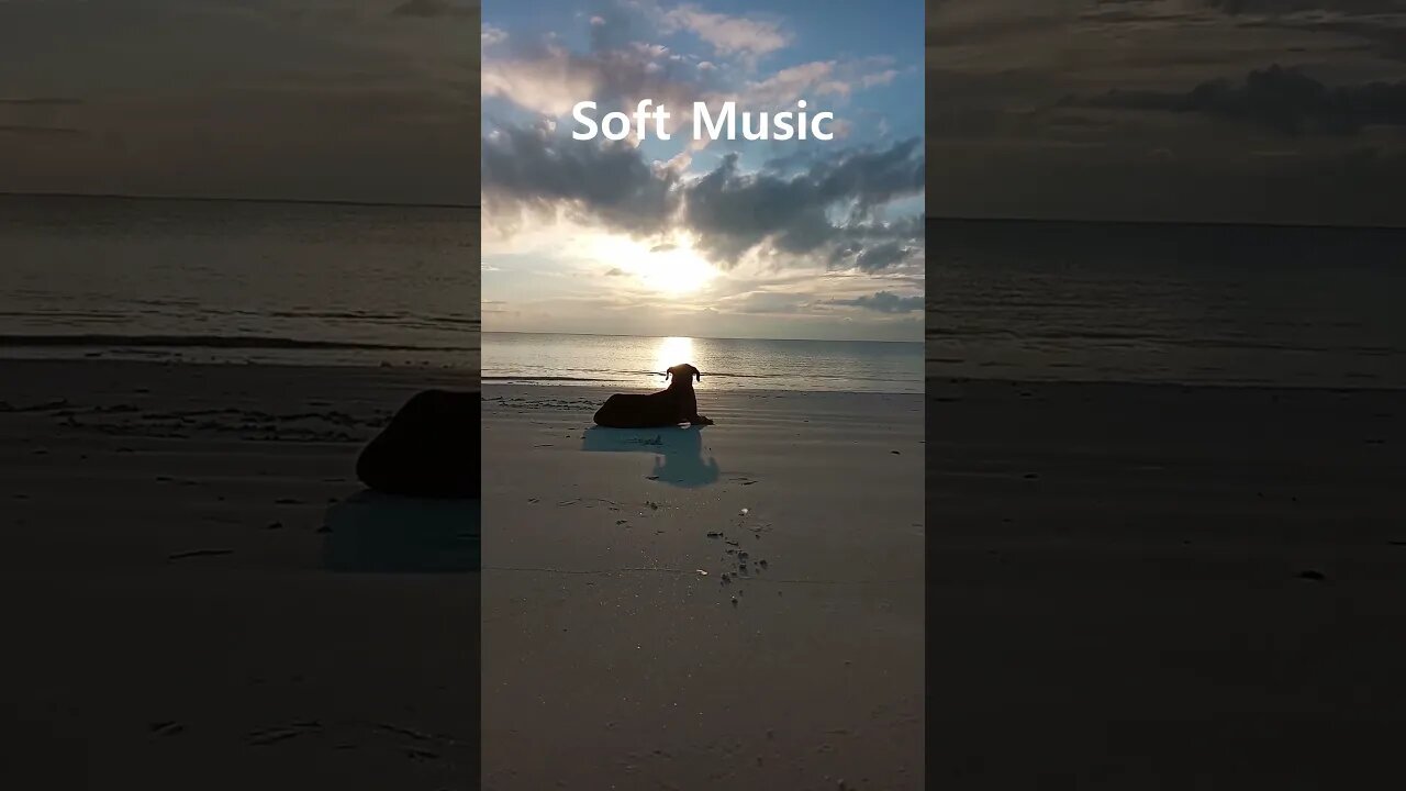 Quality relaxation time with Soft music instrumentals #shorts #softmusic #viral #peacefulmusic