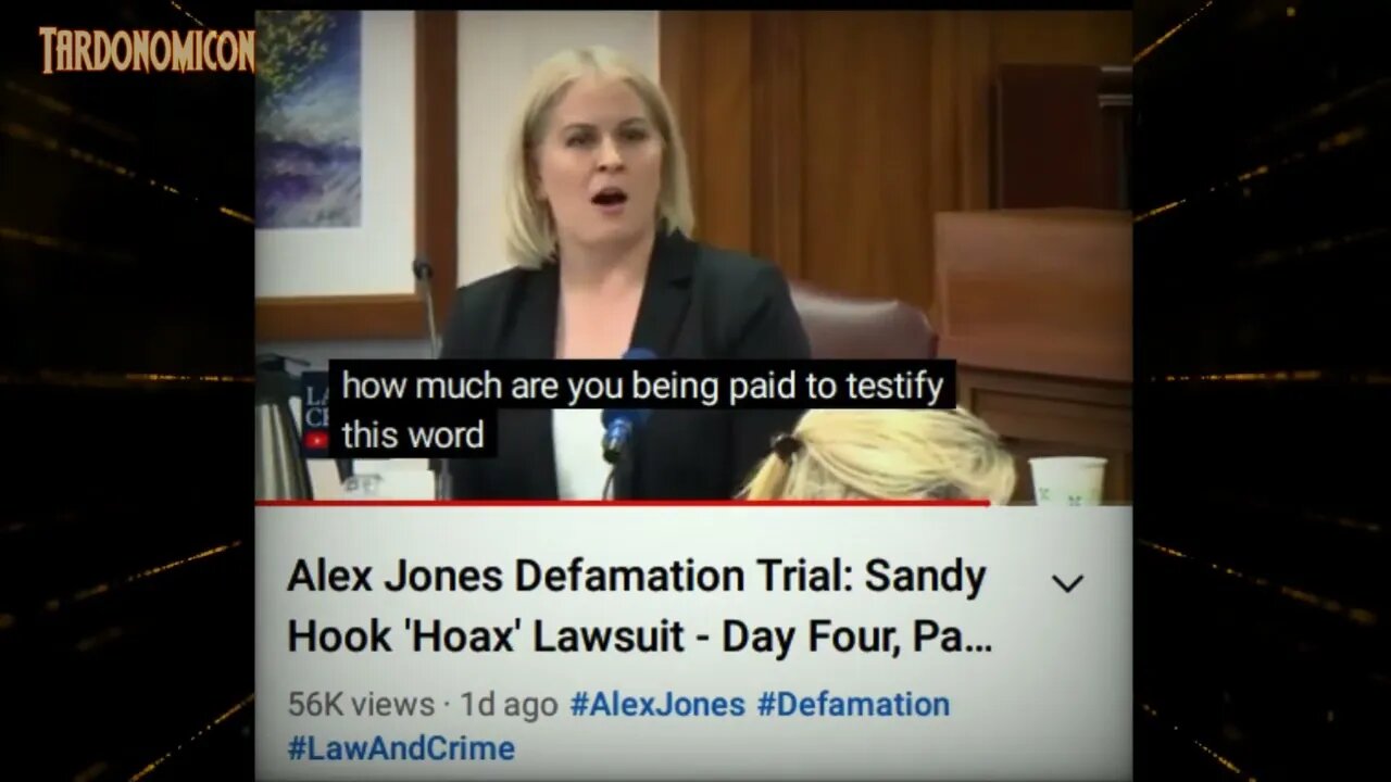 2022 07 31 4 yes they really questioned the experts payment for her work researching and testifying