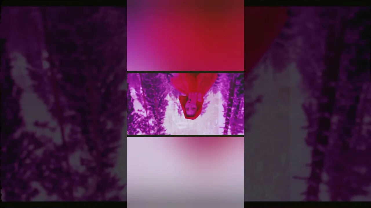 '' All The Things '' .... #Purplevibes #AllTheThings #Visualizer #Shorts