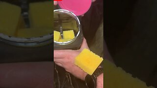 Are you sponge worthy??