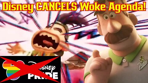 Disney Cancels WOKE! Actor Loses It Over Pixar Series Removal Of Divisive Content! "Win Or Lose"