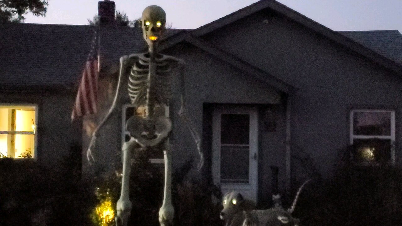 Halloween Over At The Neighbor