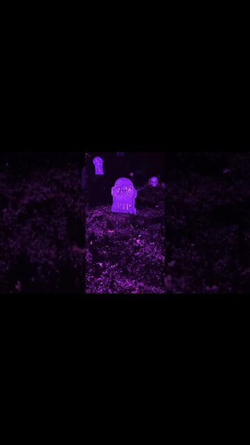 Spooky Scary Graveyard! Protected By a Giant Spider!!!! Halloween Fun!