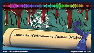 📃 🇺🇸 The UN "Universal Declaration of Human Rights" Has Replaced the US Constitution