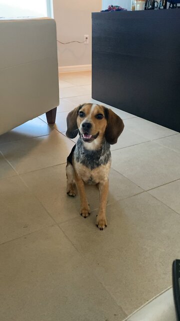 Millie catches a fastball