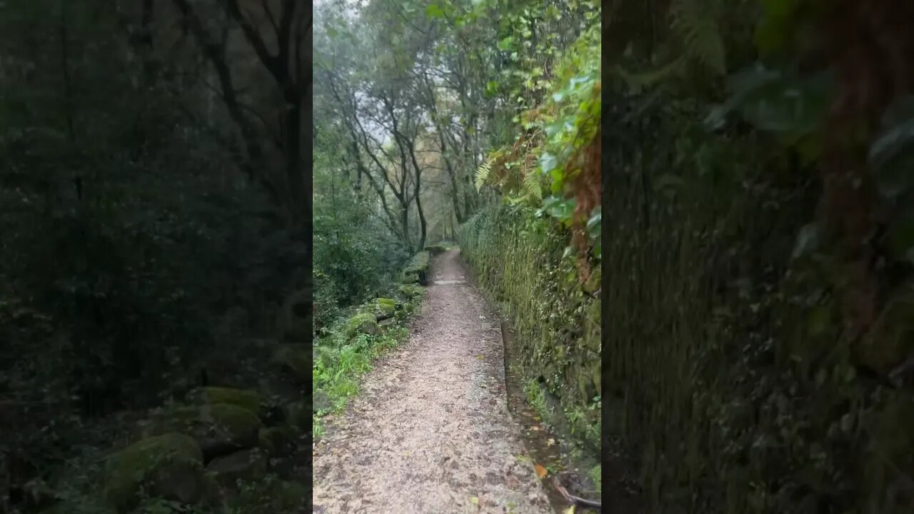 Hiking in the rain on an ancient Roman road #travel #hiking #spain