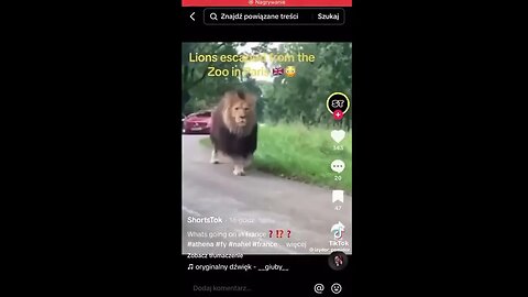 巴黎街頭的野生動物