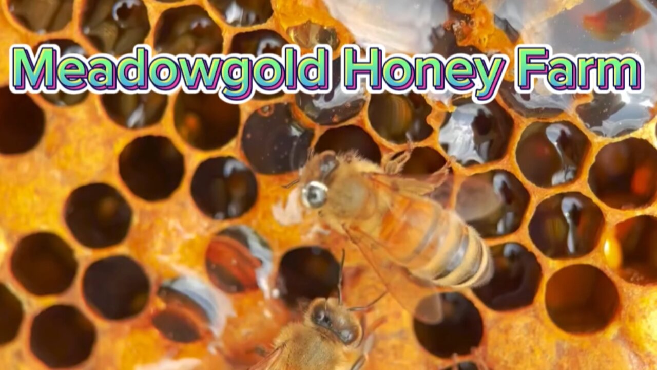 Meadowgold Honey Farm