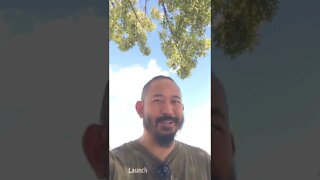 BTC bounces up after fomc meeting?