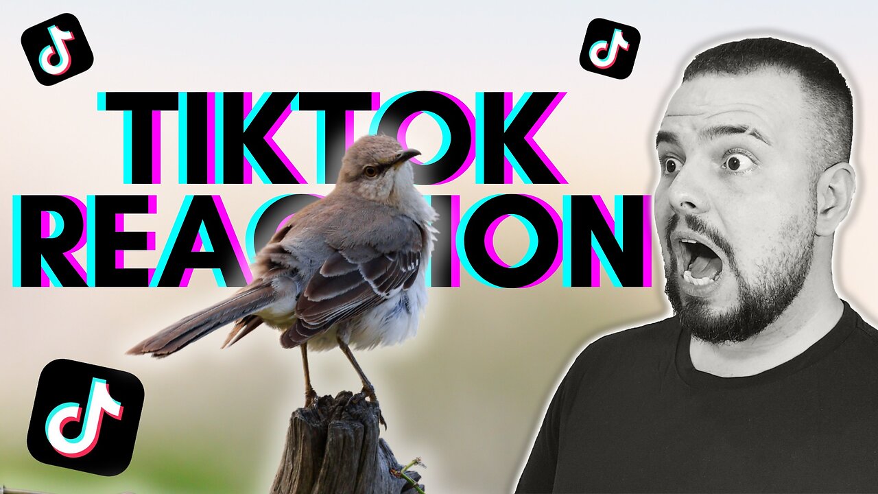 The Actual Mockingbird and Evanescence Cover Tiktok REACTION