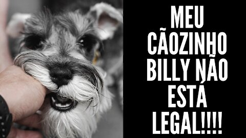 Meu Cachorro Em Êxtase!!!