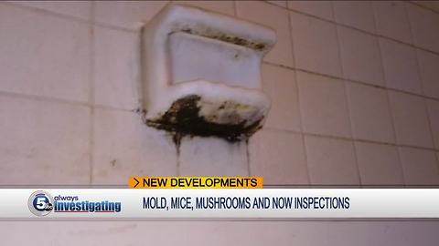 Tenants cautiously optimistic as city begins inspections at Park Place