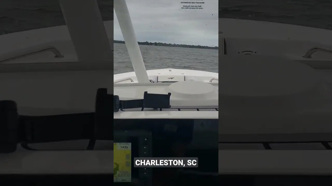 Tidewater 210 LXF Running in Choppy Water