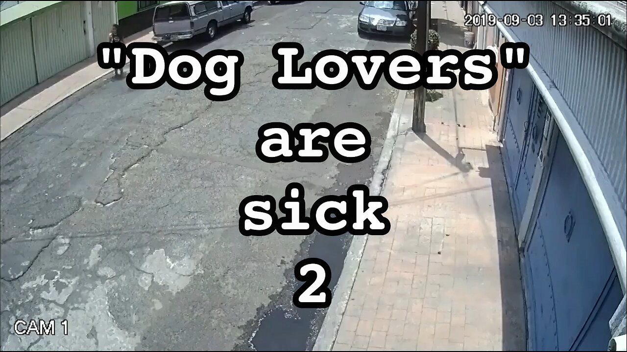 "Dog Lovers" Are Sick 2