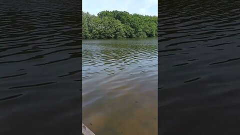 Feierabendrunde am Lopausee Amelinghausen #shorts #short #shortvideo