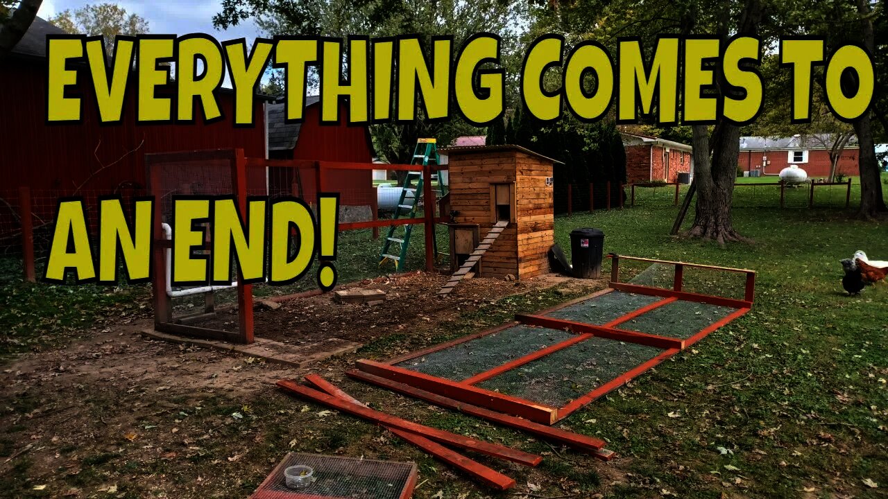 Ripping Down The Chicken Run! Making Way For The Chick Mahal!