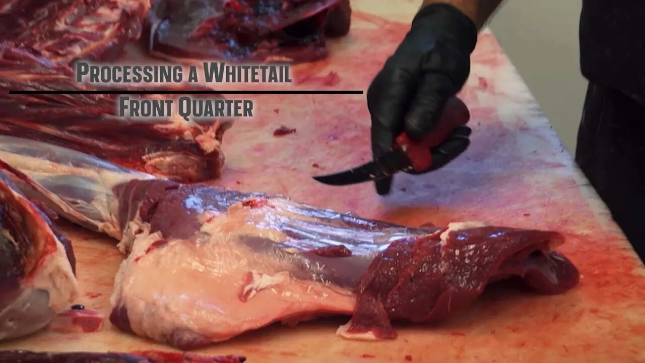 How to Process a Deer Shoulder