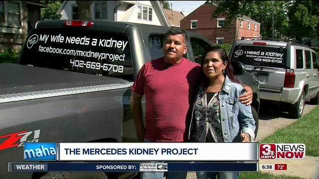 Mercedes Kidney Project