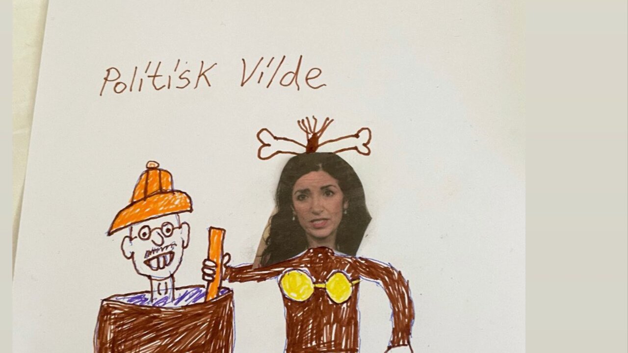 Får man kalla Amineh Kakabaveh för politisk vilde nu?