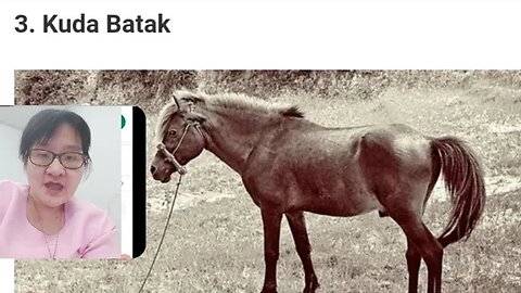 KUDA BATAK