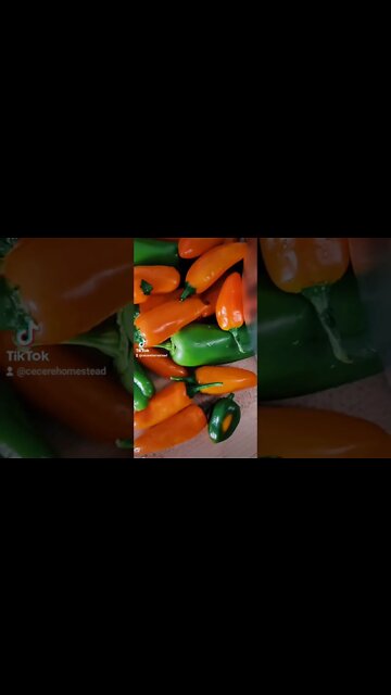 Cutting a Pile of Jalapeno