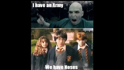 Funny Harry Potter Memes