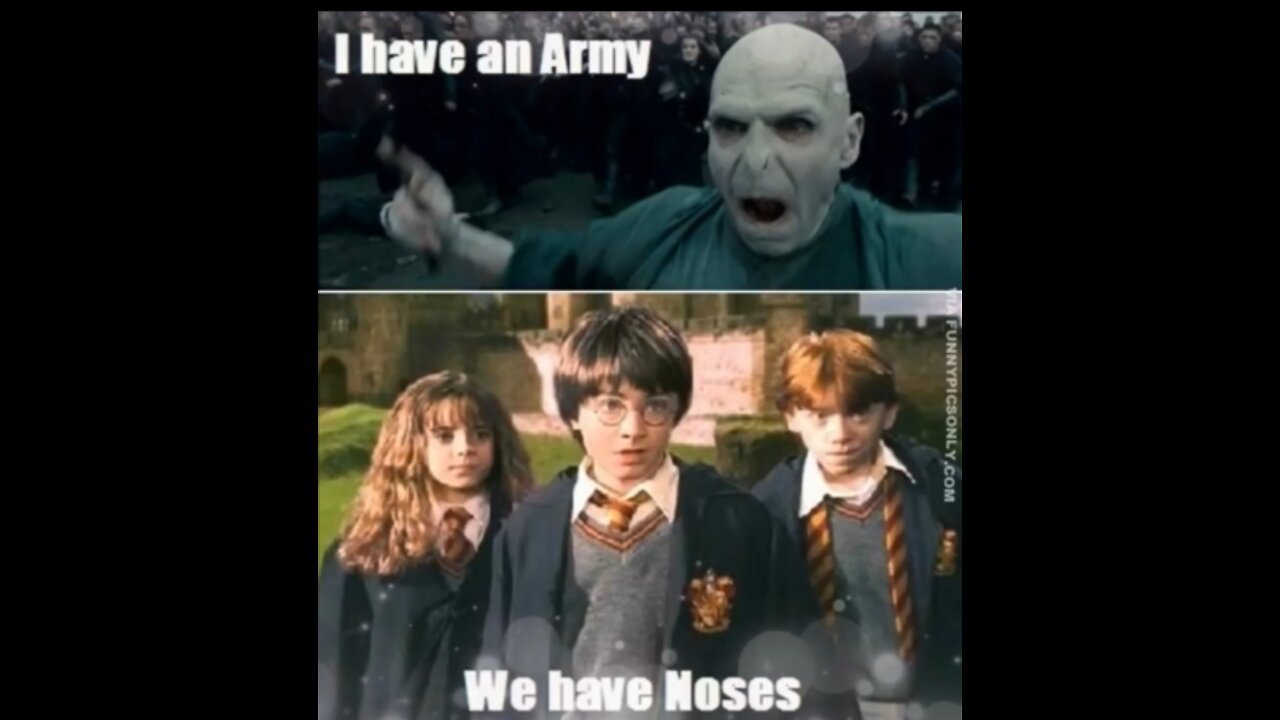 Funny Harry Potter Memes