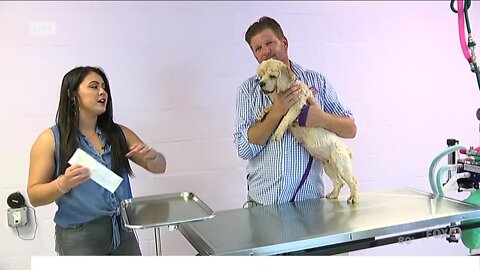 Microchipping pets at Gulf Coast Humane Society