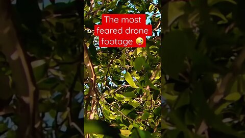 The most feared Drone Footage 😂 #stuck