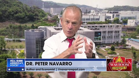 Navarro on Fauci: 'This Guy Doesn't Know What the Hell He's Talking About'