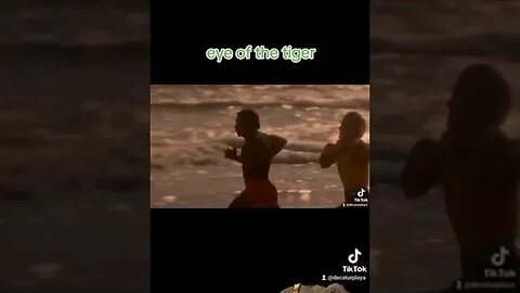 Eye of the Tiger