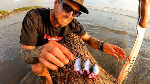 BUILDING A SURVIVAL SHELTER and WOULD YOU EAT THESE FISH_ (found on a beach)