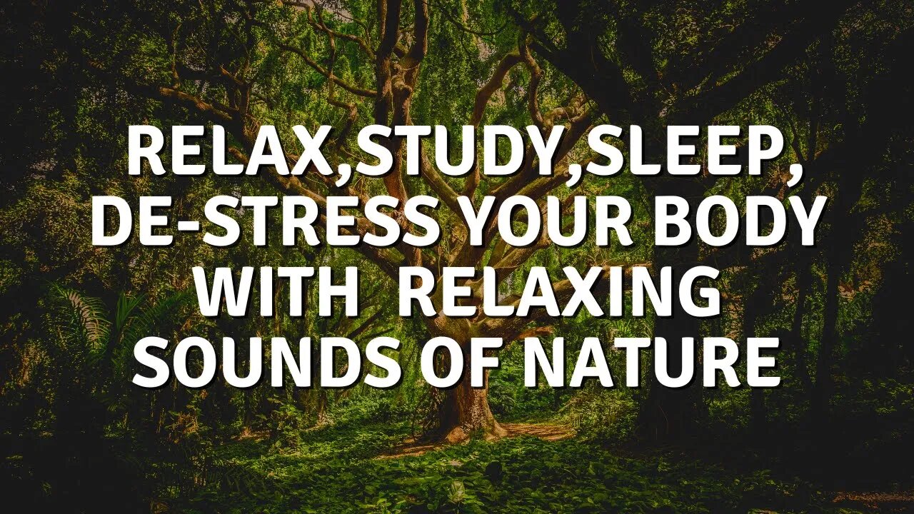 Relax, Study, Sleep or De-Stress Your Body with relaxing sounds of nature