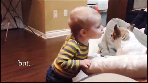 Dog and baby best video