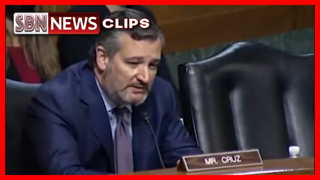 Ted Cruz Admonishes the Facebook VP - 3919