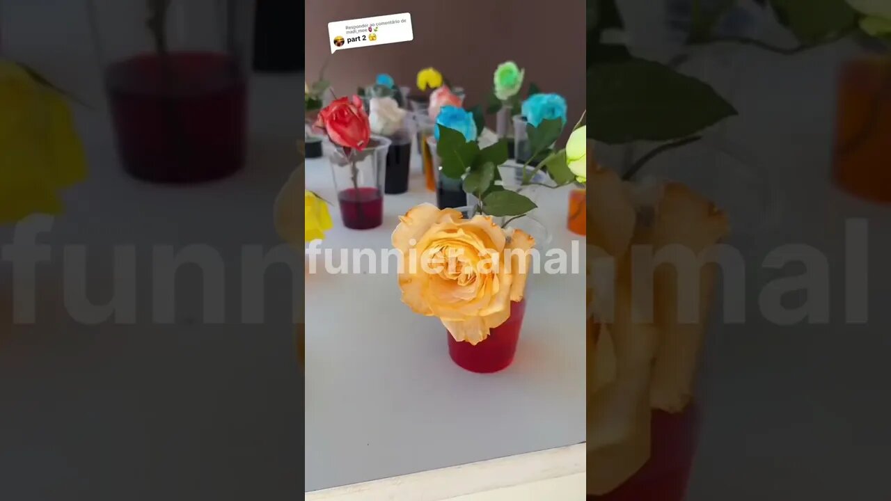 flower experiment part 1..#viralvideo #ytviral