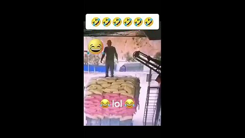 🤣🤣🤣